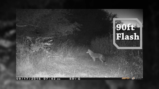 SpyPoint LINK-EVO Cellular Trail/Game Camera - image 7 from the video